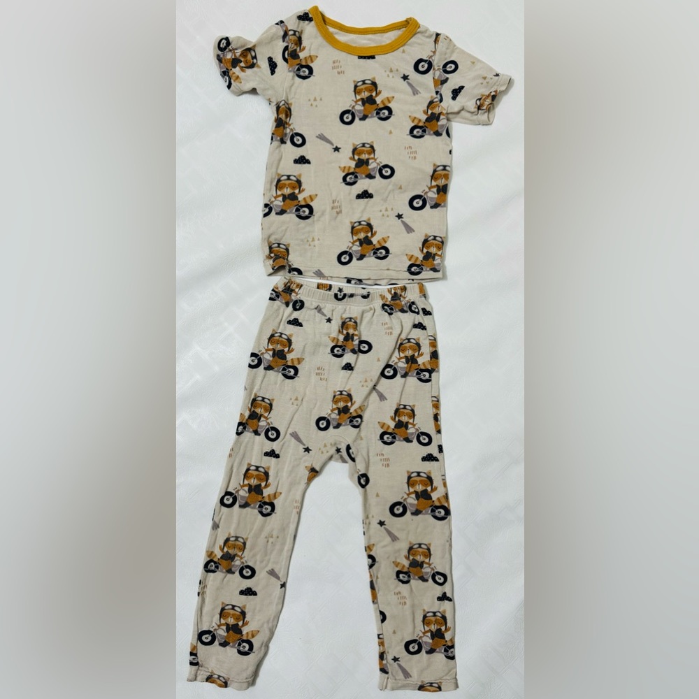 Bestaroo pajama set size 18 mo